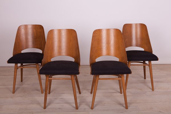 Model Lollipop Dining Chairs from Tatra, 1960s, Set of 4-NIT-572342