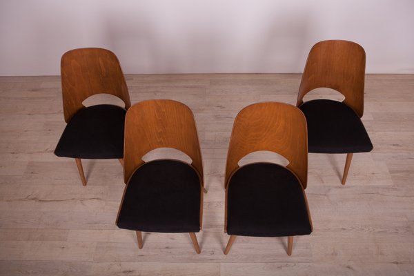 Model Lollipop Dining Chairs from Tatra, 1960s, Set of 4-NIT-572342