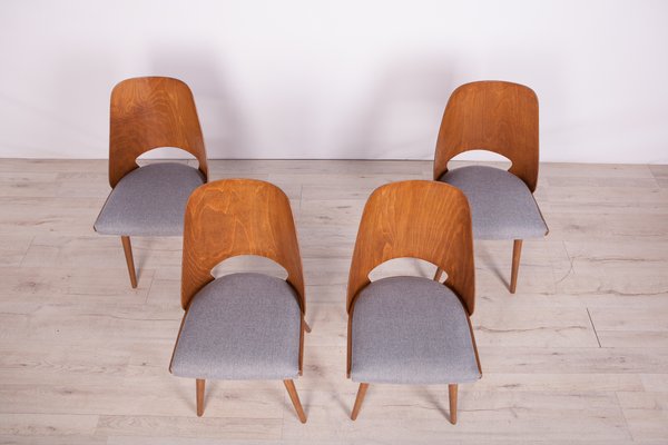 Model Lollipop Dining Chairs from Tatra, 1960s, Set of 4-NIT-739863