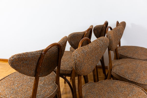 Model No. 124 Chairs attributed to Helena & Jerzy Kurmanowicz, Poland, 1960s, Set of 6-IXL-2018485