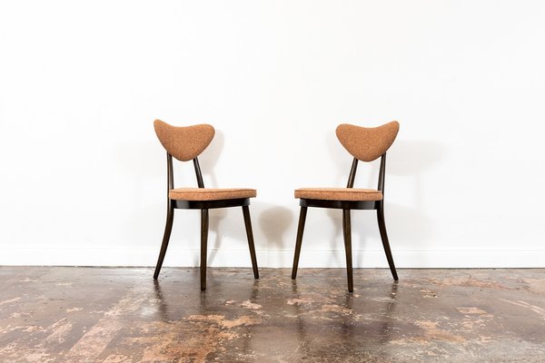 Model No. 124 Dining Chairs by Helena & Jerzy Kurmanowicz, 1960s, Set of 5-IXL-1745385