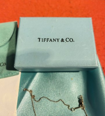 Model Return to Tiffany Pendant in Silver Tiffany & Co., 1975-ZFY-1786332