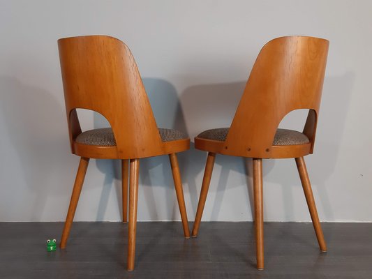 Model TON515 Chairs by Oswald Haerdtl, 1955, Set of 6-EYI-2041237