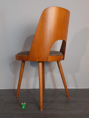 Model TON515 Chairs by Oswald Haerdtl, 1955, Set of 6-EYI-2041237