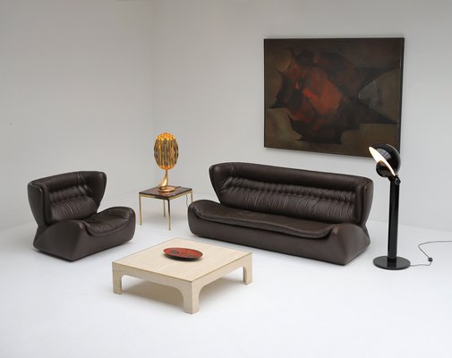 Modern Dark Brown Leather Model Pasha Sofa by Durlet, Belgium, 1970s-CF-1377376