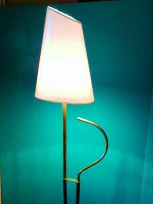 Modernist French Brass & Black Steel Floor Lamp, 1950s-AC-899920