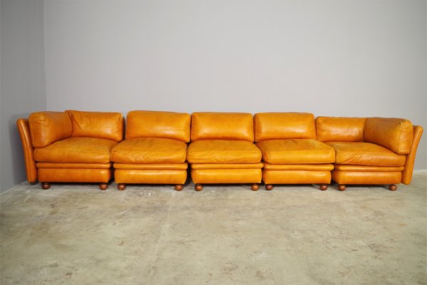 Modular Frau Sofa in Leather, 1970, Set of 5-KNM-1452791