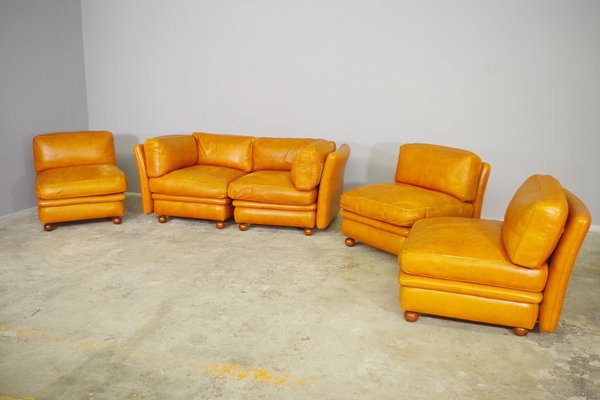 Modular Frau Sofa in Leather, 1970, Set of 5-KNM-1452791