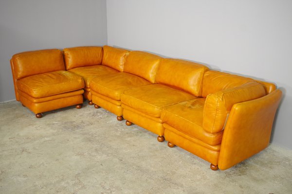 Modular Frau Sofa in Leather, 1970, Set of 5-KNM-1452791