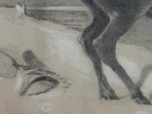 Moose Charcoal Painting by Richard Cockle Lucas, 1878-ARU-1004803