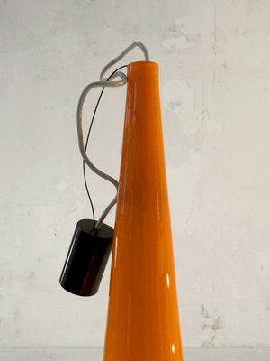 Murano Glass Ceiling Lamp by Alessandro Pianon for Vistosi, 1960s-NLF-727351