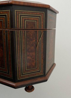 Napoleon III Glove Box in Magnifying Glass with Velvet Interior Marquetry-QKG-1758623