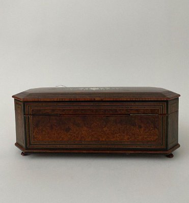 Napoleon III Glove Box in Magnifying Glass with Velvet Interior Marquetry-QKG-1758623