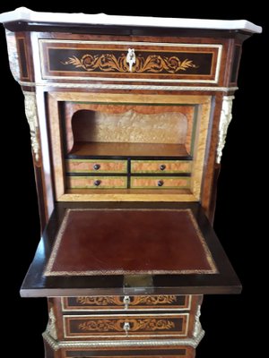 Napoleon III Secretaire-AKA-1342059