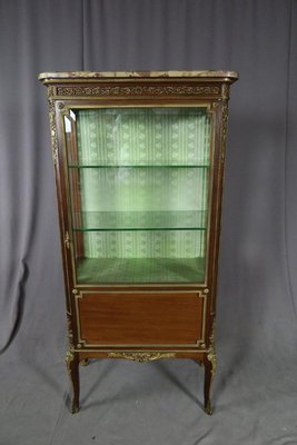 Napoleon III Vitrine Mahogany Showcase-WSV-1367306