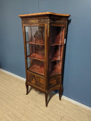 Napoleon Style Cabinet in Mahogany-HLV-1727070