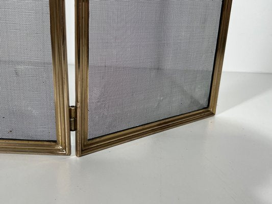 Neoclassical Fire Screen in Brushed Steel, Brass and Wire Mesh in the style of the Maison Jansen, 1940s-BA-1780968