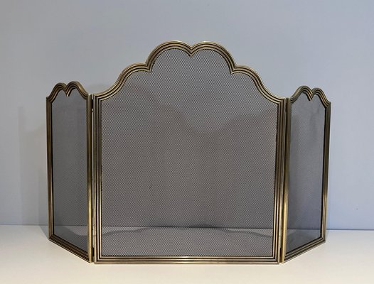 Neoclassical Style Fire Sceen in Brass and Wire Mesh, 1970s-BA-1516223