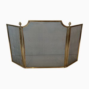 Neoclassical Style Fire Screen in Brushed Steel, Brass and Mesh in the style of Maison Jansen, 1940s-BA-1784738