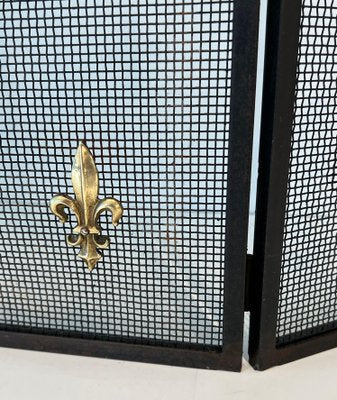 Neoclassical Style Firescreen in Steel, Brass and Wire Mesh with Lily Flower Decoration-BA-1784747