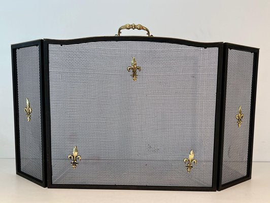 Neoclassical Style Firescreen in Steel, Brass and Wire Mesh with Lily Flower Decoration-BA-1784747