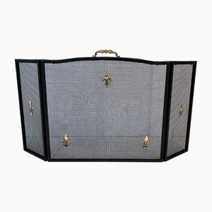 Neoclassical Style Firescreen in Steel, Brass and Wire Mesh with Lily Flower Decoration-BA-1784747