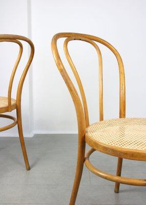 No. 18 Wide Chairs by Michael Thonet, Set of 2-HGJ-1282739