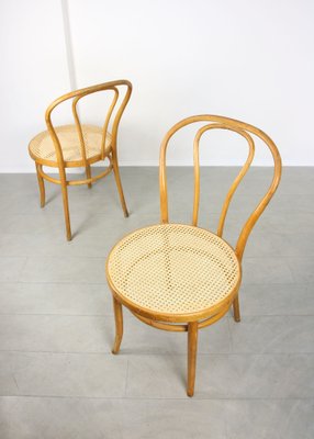 No. 18 Wide Chairs by Michael Thonet, Set of 2-HGJ-1282739