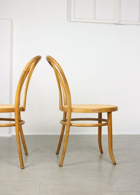 No. 18 Wide Chairs by Michael Thonet, Set of 2-HGJ-1282739