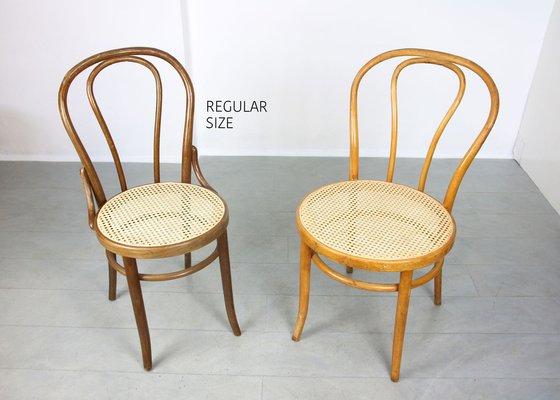 No. 18 Wide Chairs by Michael Thonet, Set of 2-HGJ-1282739