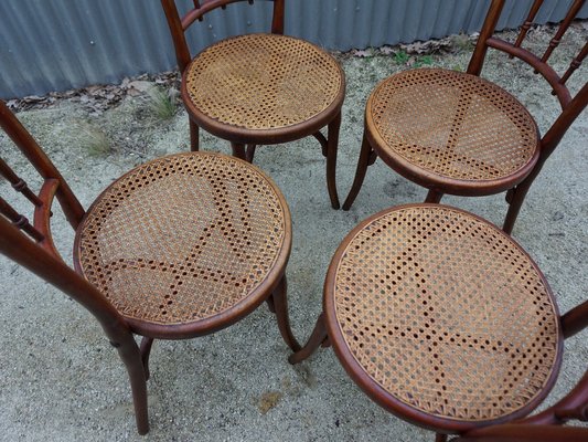 No. 66 Bistro Dining Chairs from Thonet, Vienna, Austria, 1910s, Set of 4-EA-1807312