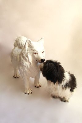 Nonce, Vintage Imposing Ceramic Dog Sculpture, Italy, 1970s-HUY-831771