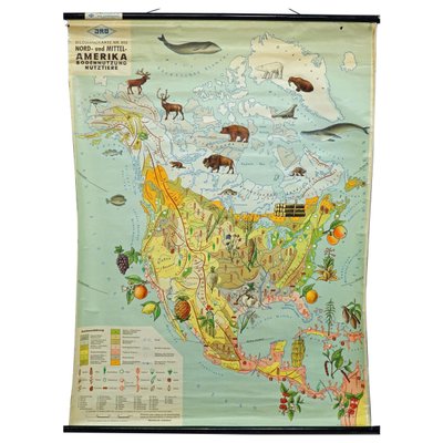 North America Land Use and Livestock Picture Map, 1970s-KJP-1385114