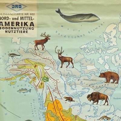 North America Land Use and Livestock Picture Map, 1970s-KJP-1385114