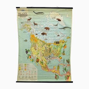 North America Land Use and Livestock Picture Map, 1970s-KJP-1385114