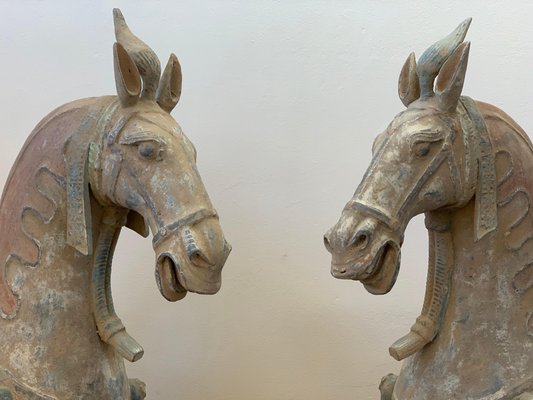 Northern Wei Dynasty Terracotta Horses, Set of 2-PSK-1002963