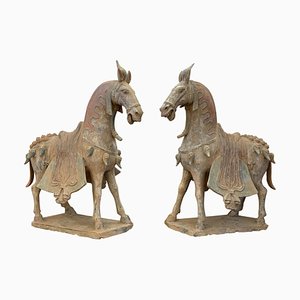 Northern Wei Dynasty Terracotta Horses, Set of 2-PSK-1002963