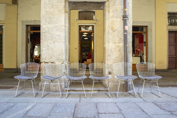 Nr. 420 Chairs by Harry Bertoia for Knoll International, 1950s, Set of 6-VCV-1706263