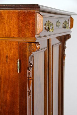 Nutwood Cabinet, Austria, 1890s-TQA-1322270