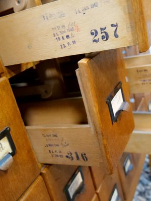 Oak Cabinet with 40 Drawers, Germany, 1930s or 1940s-QFD-1048756