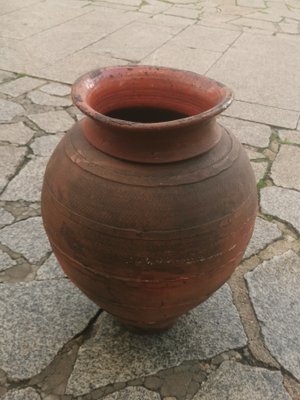 Olive Oil Pot, 1890s-GEL-1431116