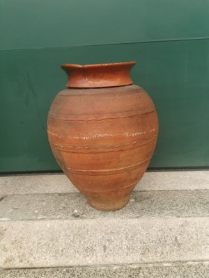 Olive Oil Pot, 1890s-GEL-1431116