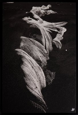 Olivier Attar, Sirene, 2013, Photograph, Framed-CHG-916829