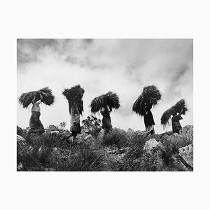 Olivier Le Brun, Ambohimahamasina, Madagascar, Bales of Rice, 1998, Silver Print-KHH-1744002