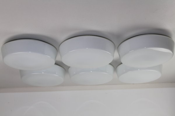 Opal Glass Ceiling or Wall Lamps from RZB Rudolf Zimmermann Bamberg, 1950s, Set of 6-ZWH-666463