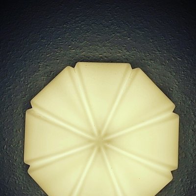 Opal Glass Ceiling Wall Light from Peill & Putzler, 1960-PYR-1315205