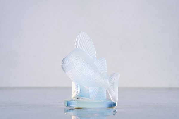 Opalescent Crystal Perche Fish Mascot or Paperweight by René Lalique, France-LBS-1378264