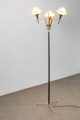 Opaline and Brass Glass Ground Lamp, Italy, 1950s-LMR-1367072