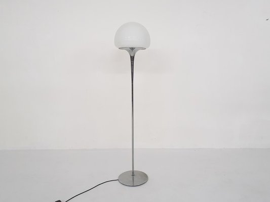 Opaline Glass and Chrome Floor Lamp by Goffredo Reggiani, Italy, 1960s-ZO-998826