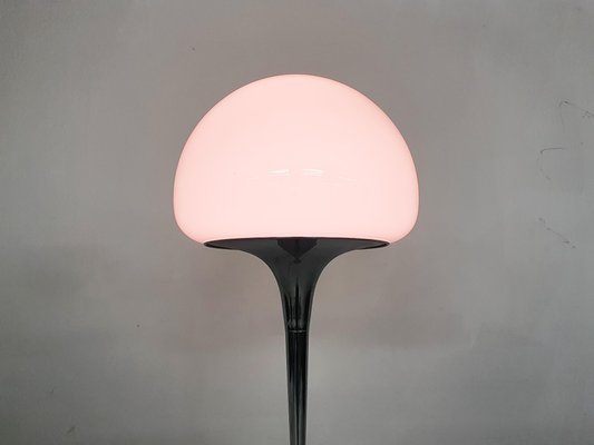 Opaline Glass and Chrome Floor Lamp by Goffredo Reggiani, Italy, 1960s-ZO-998826